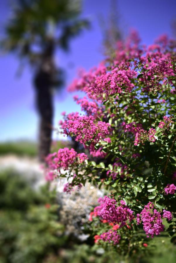 Il Casale Bed & Breakfast San Giovanni In Marignano Exterior photo